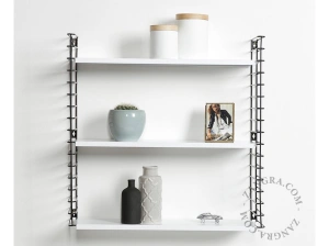 OPTION 1