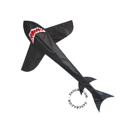 kids.047.003_s-3d-kite-cerf-volant-vlieger