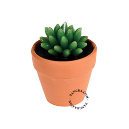 home.050.002_s-candle-bougie-kaars-cactus