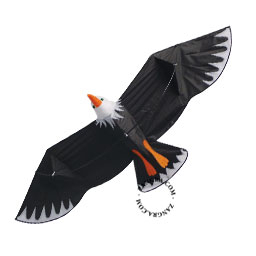 kids.047.001_s-3d-kite-cerf-volant-vlieger