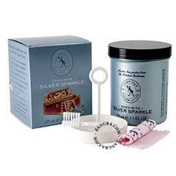clean001_s-town-talk-polish-exquisite-silver-sparkle