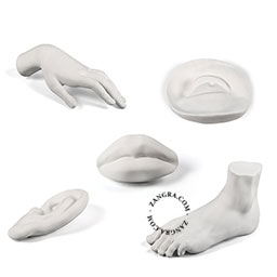 Bernini-Canova-Michelangelo-reproductie-porselein-Seletti