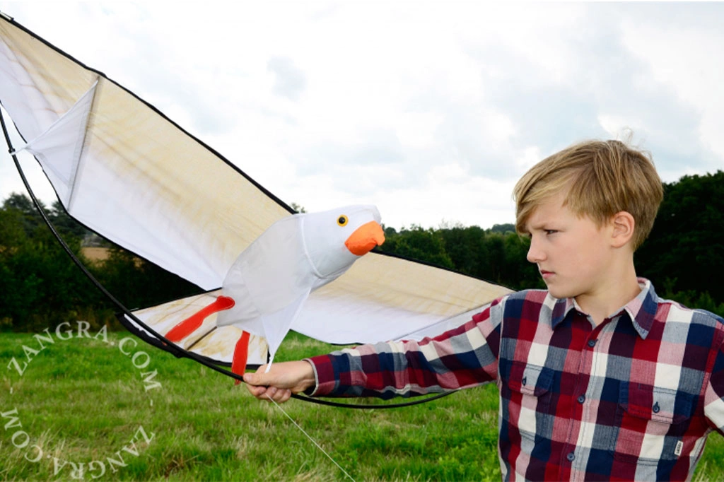 3D mås drake XXL