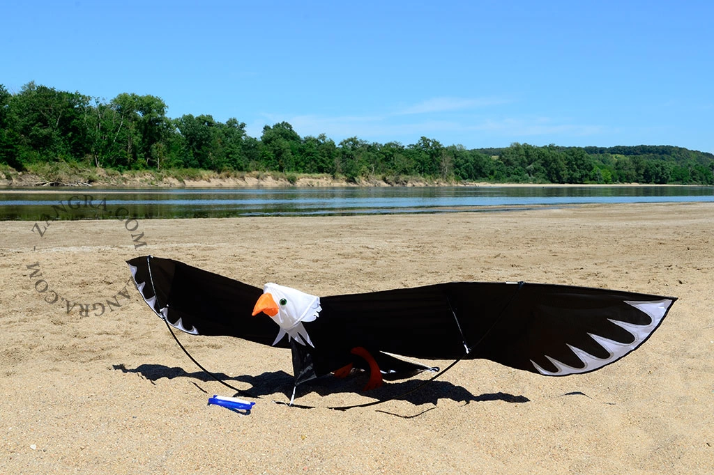 3D-Flugdrachen XXL „Adler“