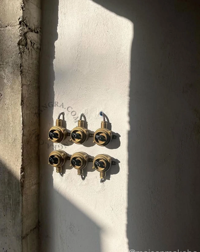water-resistant rotary switch in brass