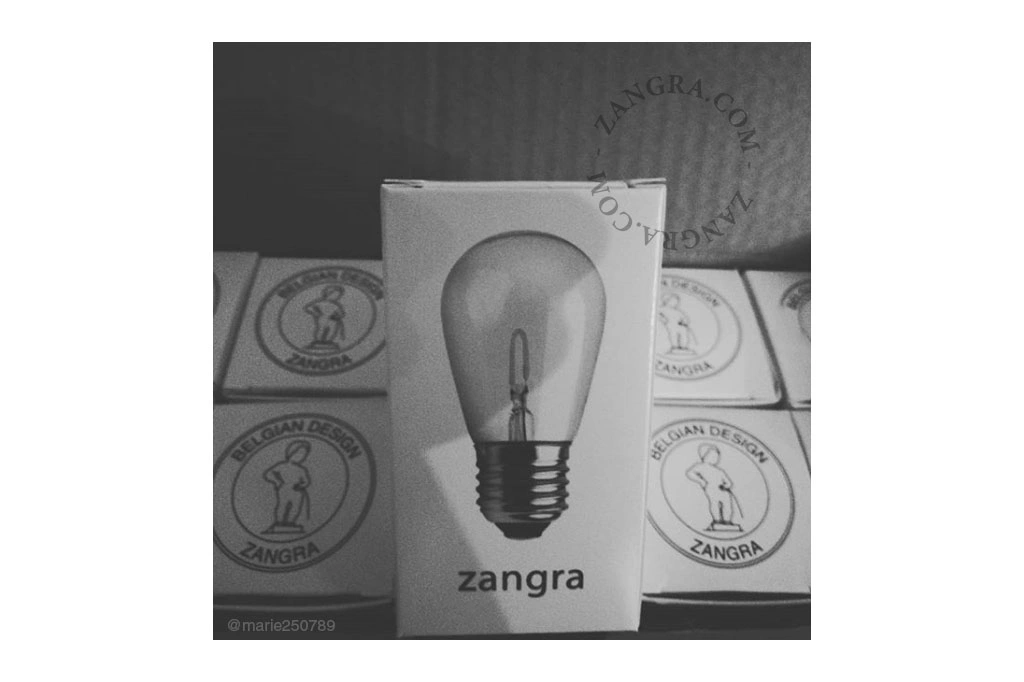 żarowa żarówka  LED - 1W