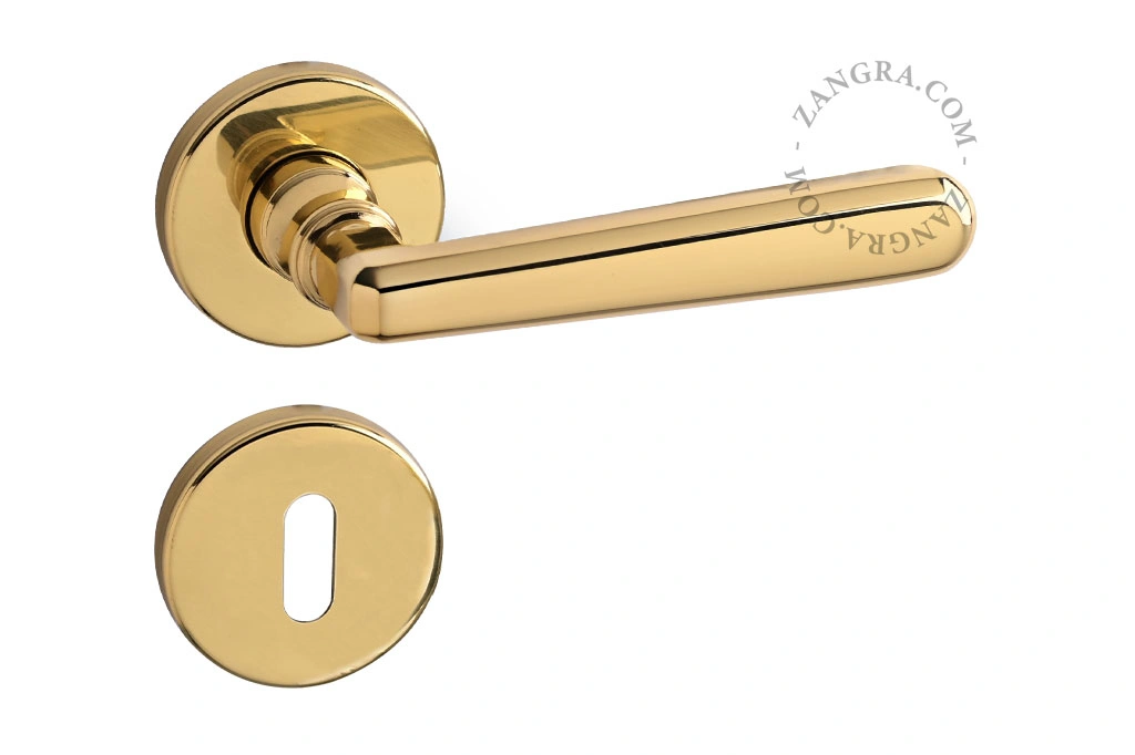 brass double door handle