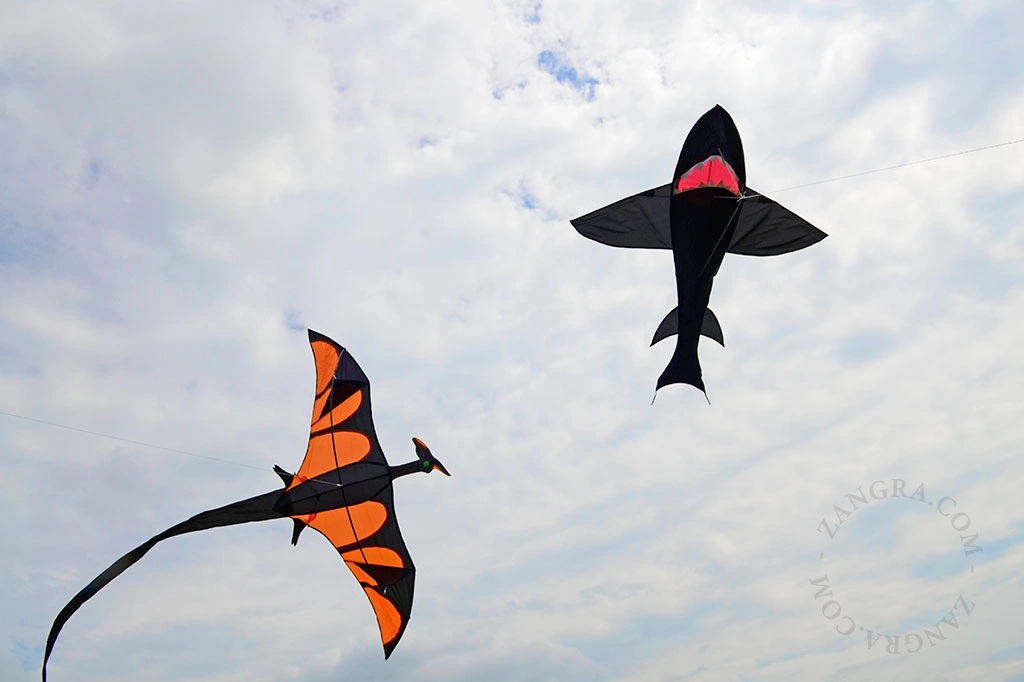 3D dinosaur kite XXL
