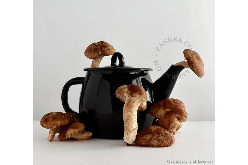 zwarte emaille theepot -1 l