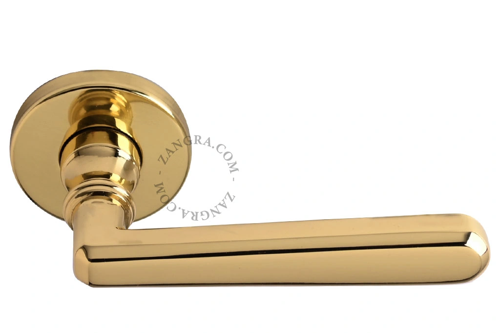 brass double door handle