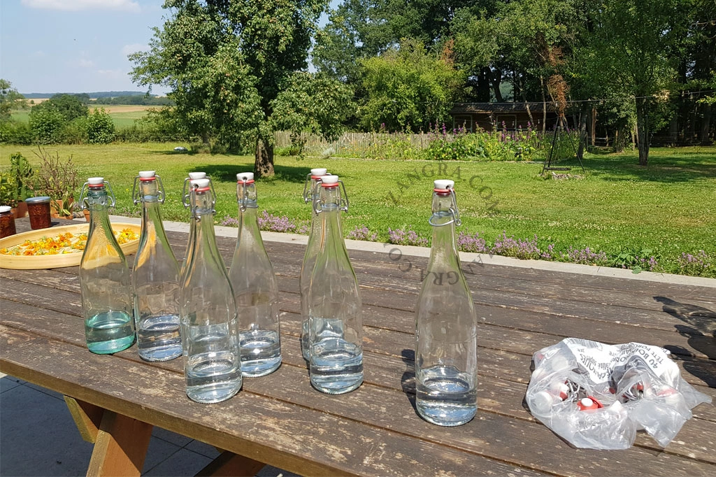 Bügelflaschen mit Gummiverschluss