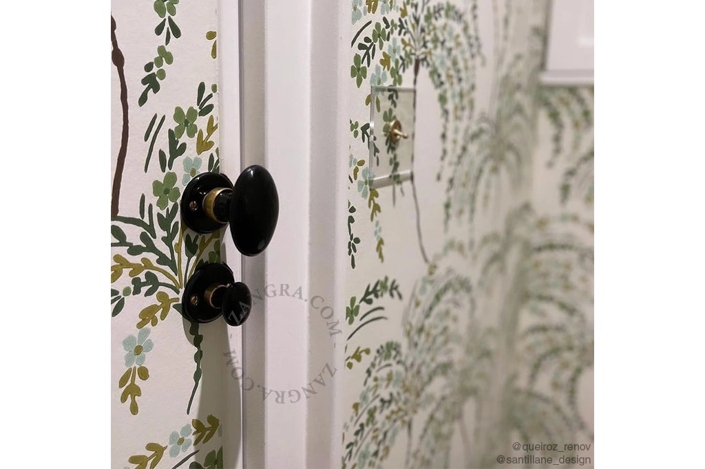 black porcelain and brass rosette and thumb turn lock