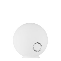 frosted glass lampshade