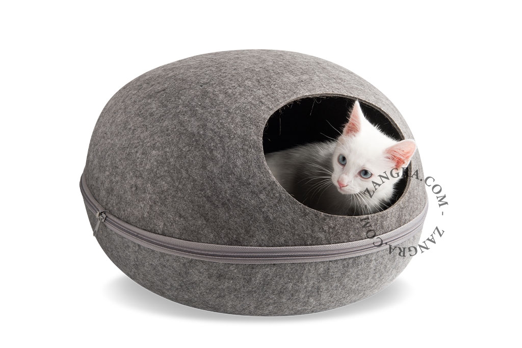 korg för katt eller hund