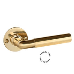 brass double door handle