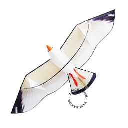 papagaio gaivota 3D XXL