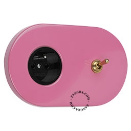 pink flush mount socket & two-way or simple switch – raw brass toggle
