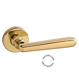 brass double door handle