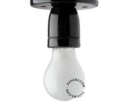 black Pure Porcelain wall or ceiling light