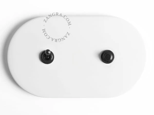push button and toggle switch