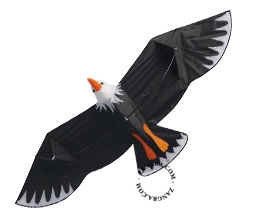 3D-Flugdrachen XXL „Adler“
