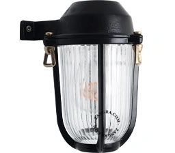 outdoor black brass wall light - IP64