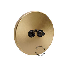 Brass switch with black toggle switch & pushbutton.
