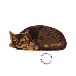 Doormat coir sleeping cat