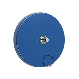 Round blue pushbutton switch.