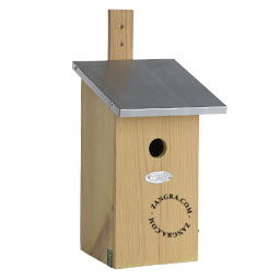 birdhouse-wood