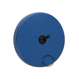 Round blue switch with black lever.