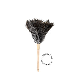 feather-duster-ostrich-dust-wood