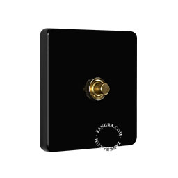 Zwarte schakelaar met goudkleurige drukknop.