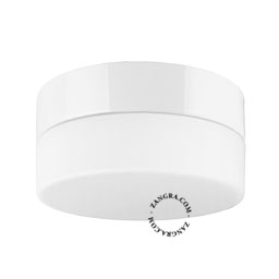 Round light fixture in white porcelain and glass.