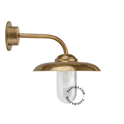 Raw brass wall light with swan neck for bathroom or outdoor use.