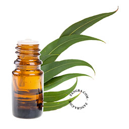 Organic eucalyptus essential oil.