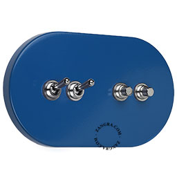 2 interrupteurs a bascule et 2 boutons-poussoirs en laiton nickele sur une façade en acier bleu