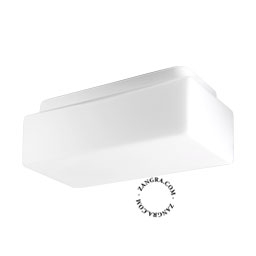 Rectangular blown opal wall or ceiling light for bathroom or outdoor use.