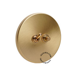Brass switch with brass toggle & pushbutton.