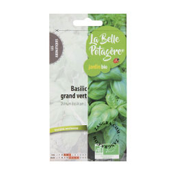 organic-seeds-basil-gardening-vegetable-garden