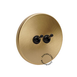 Brass switch with double black toggle.