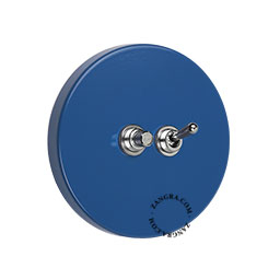 Round blue switch with pushbutton and toggle.