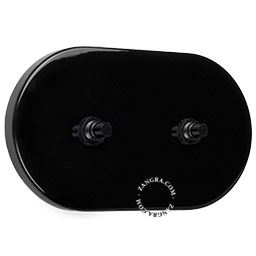 interrupteur noir avec 2 boutons-poussoirs en laiton noir