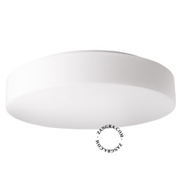 opal glass wall or ceiling light for bathroom or outdoor use