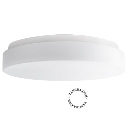 round blown glass wall or ceiling light for outdoor or bathroom use