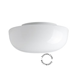 Round blown glass light fixture with opal finish.