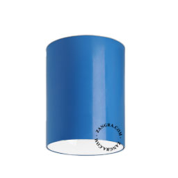 surface-mounted blue LED spotlight