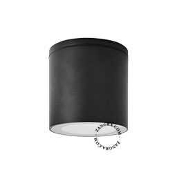 Produkt loftslampe Elmo - IP54 Billede
