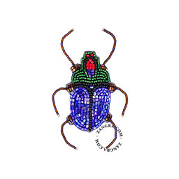 Broche scarabée bleu.