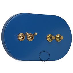 Blue switch with 2 brass toggles and 2 brass pushbuttons.